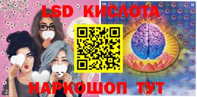 бошки Кимры