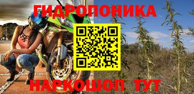 гидропоника Камышлов