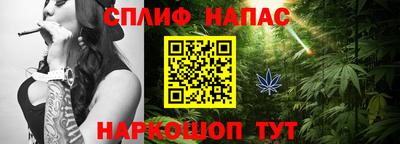 амф Кингисепп